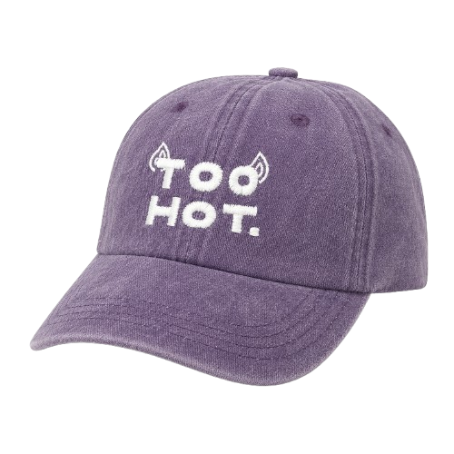 TOO HOT PURPLE WASHED CAP